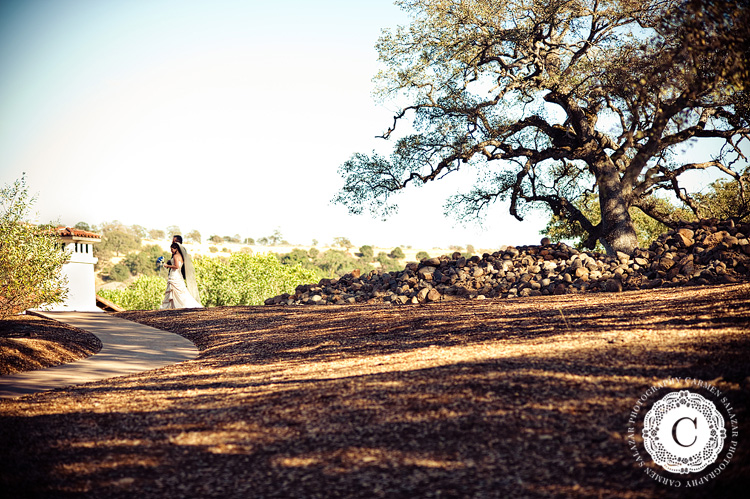 Sacramento wedding photographer photographs a ceremony at Catta Verdera
