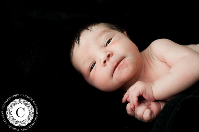 adorable baby portraits 