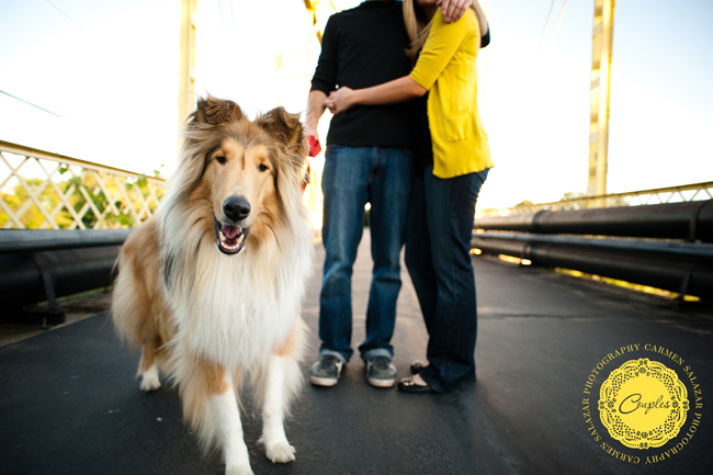 dog engagement photos