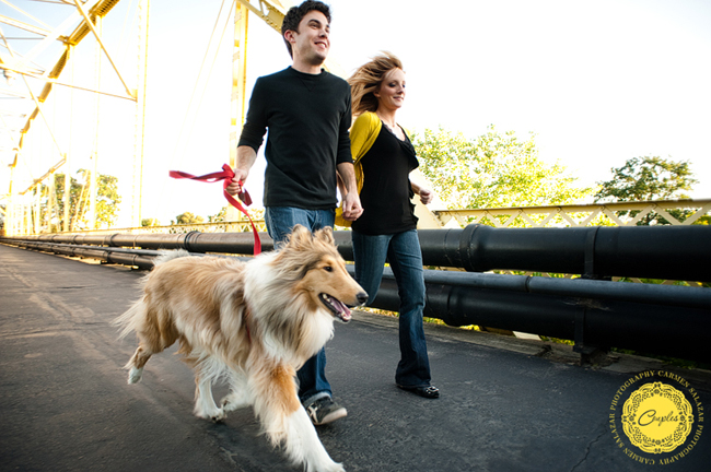 fun pet engagemento photos