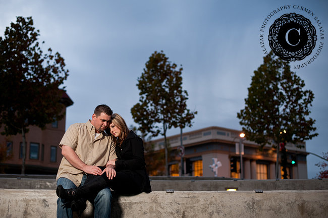 intimate Napa engagement photos