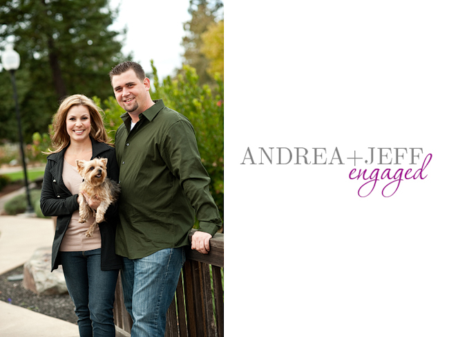 Napa engagement photos