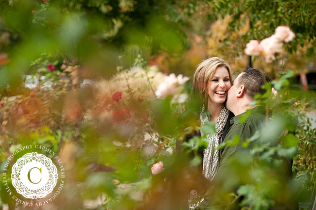 pretty napa engagement photos