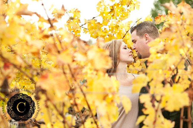 winery engagement pictures