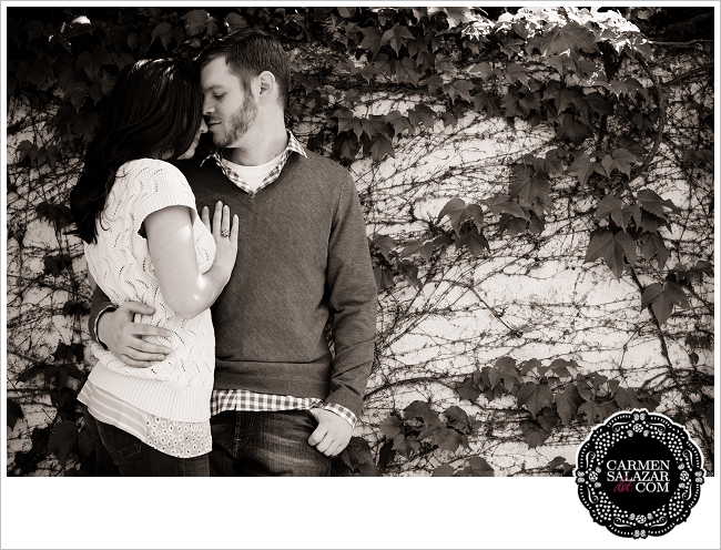 garden engagement photos garden engagement photos