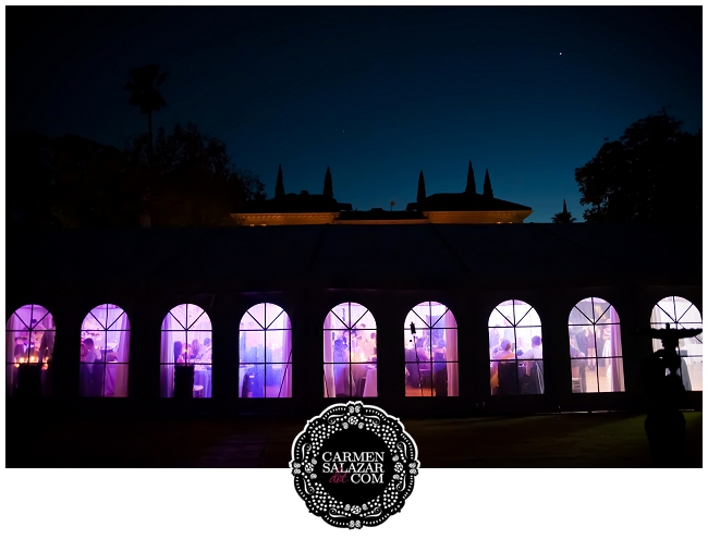 Vibrant wedding reception photograph