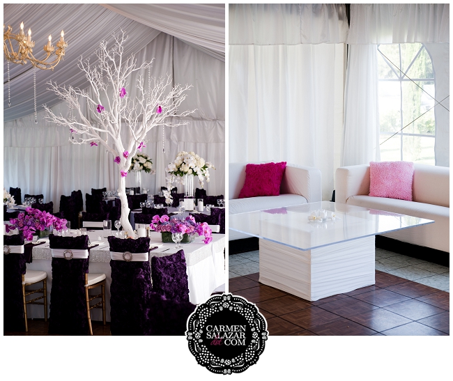 Modern reception portraits