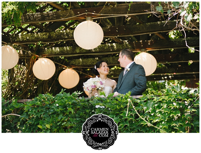 Vineyard Wedding Photos