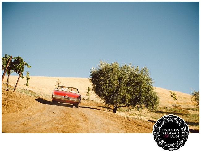 Taber Ranch Wedding Pictures