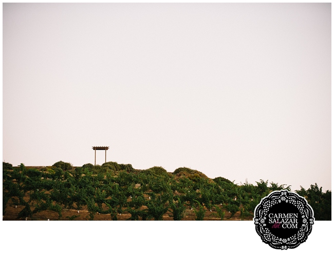 Taber Ranch Wedding
