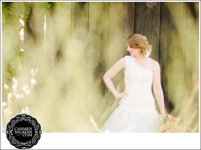 Sweet Bride Picture