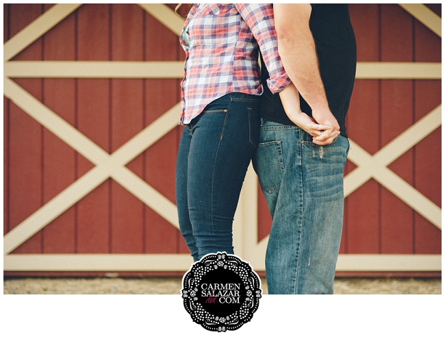 Engagement Photos