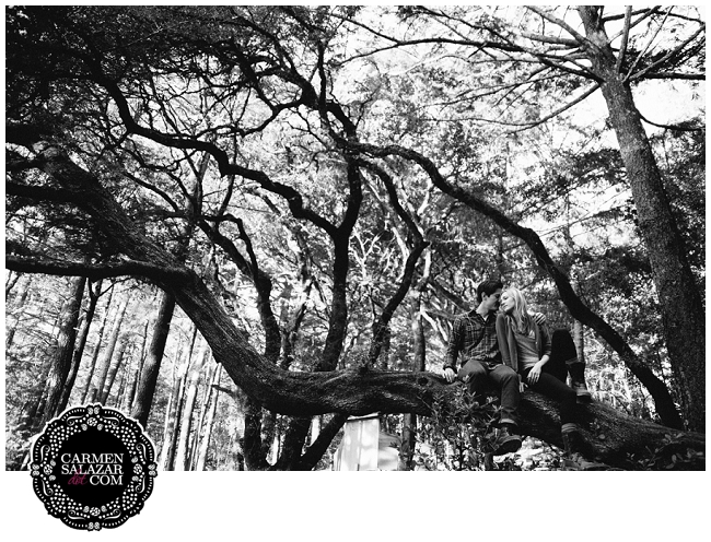 dramatic outdoor portraits