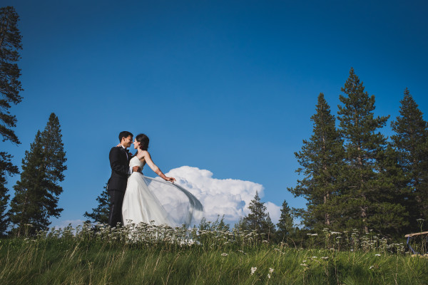 Top 10 tips for planning the perfect wedding