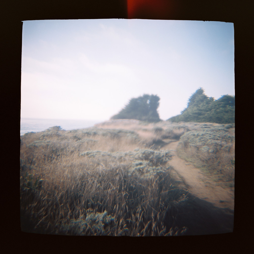 Sea Ranch Holga travel photos