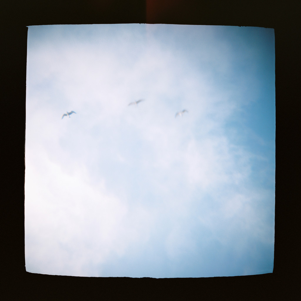 blue skies with birds Holga travel photos