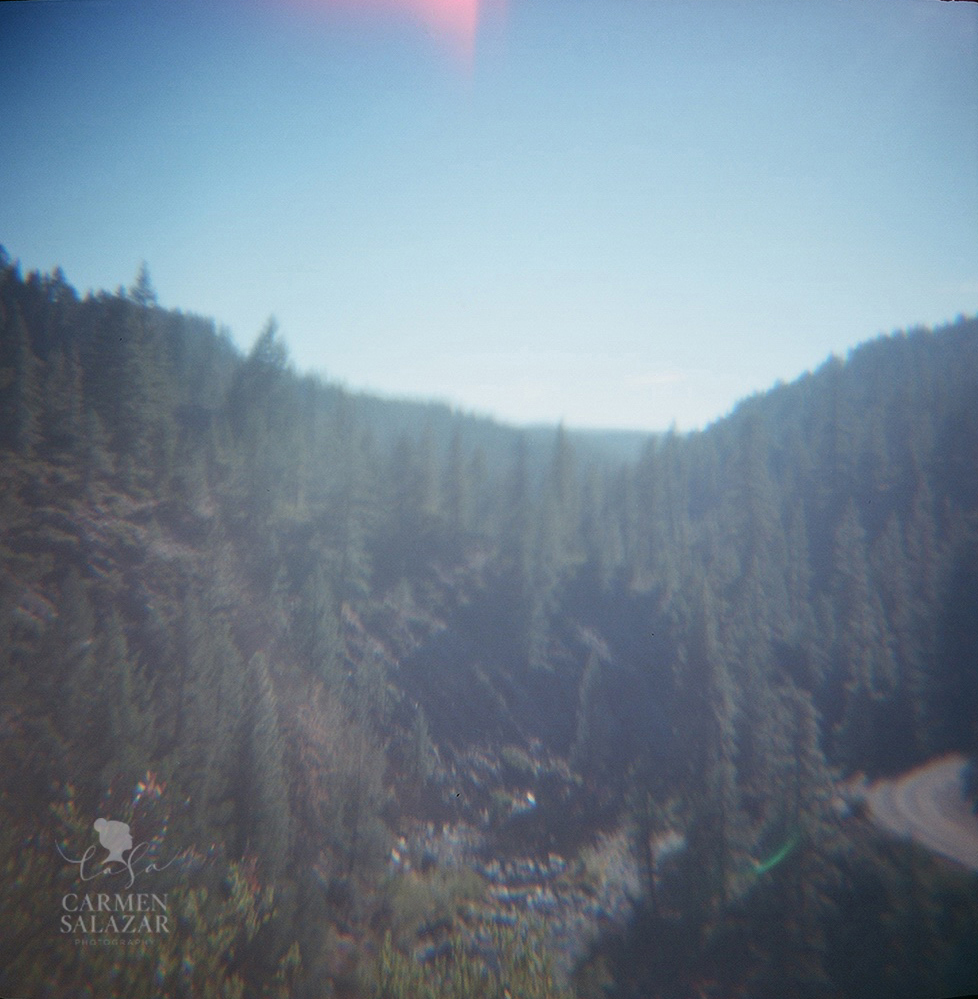 Plumas National Forest photo with Diana camera Plumas National Forest photo with Diana camera