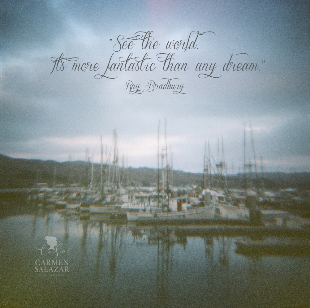 Bodega Bay Coastal toy camera portrait Bodega Bay Coastal toy camera portrait