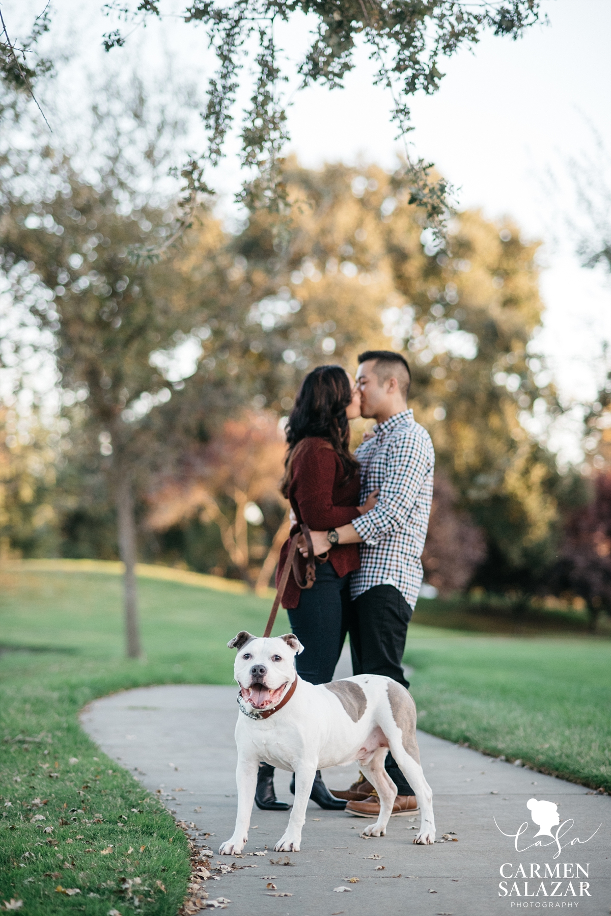 Engagement sessions with cute dogs - Carmen Salazar Engagement sessions with cute dogs - Carmen Salazar